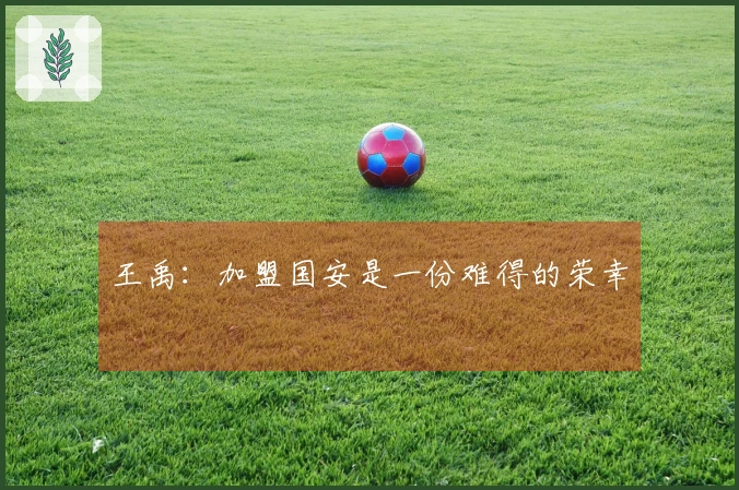 王禹：加盟国安是一份难得的荣幸